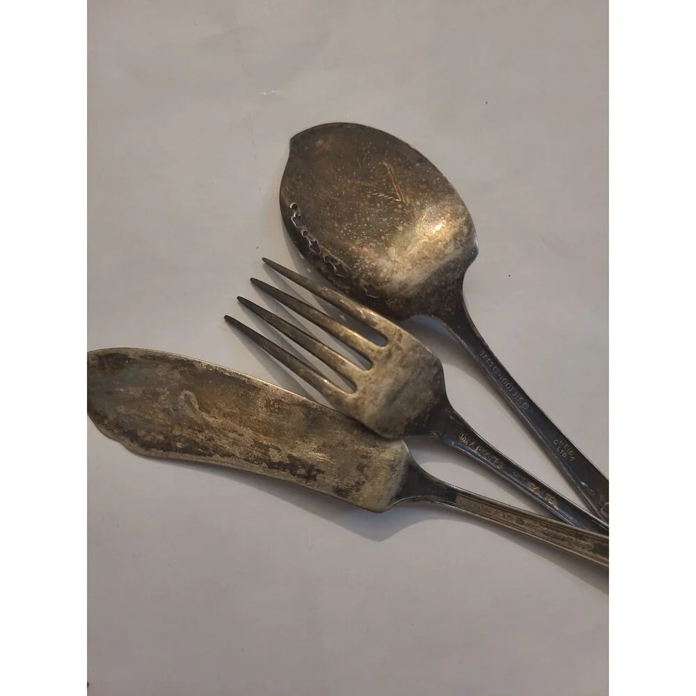 Vintage 1881 Rogers Oneida Ltd Plantation Silver Plated Flatware 3 Pieces